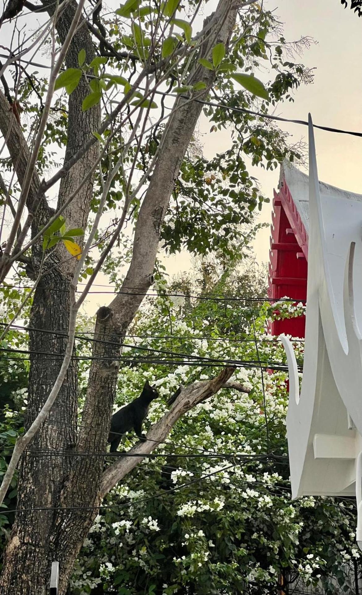 Hotel Baan Debtida Bangkok Zewnętrze zdjęcie