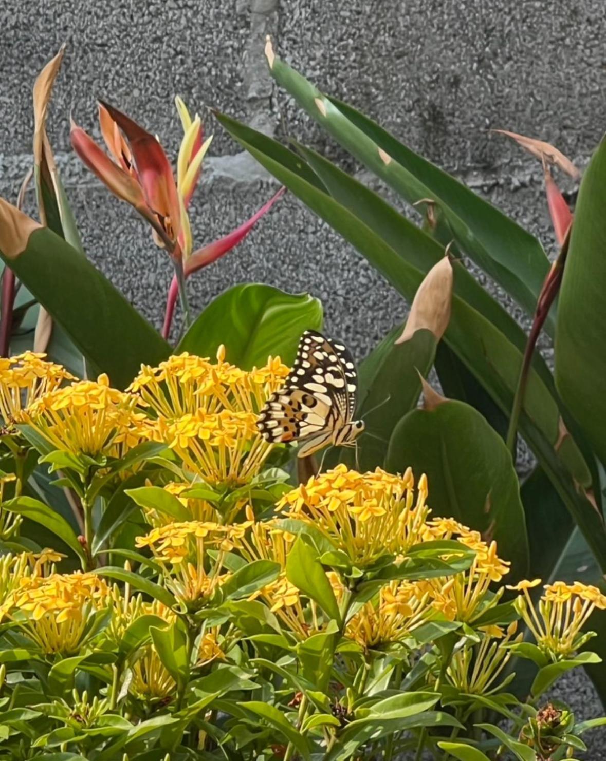 Hotel Baan Debtida Bangkok Zewnętrze zdjęcie