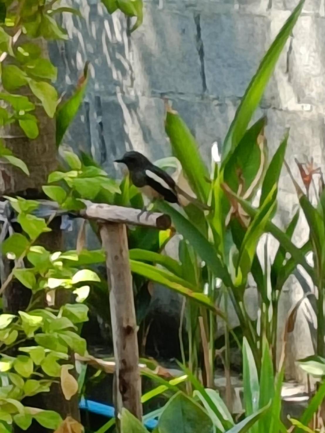 Hotel Baan Debtida Bangkok Zewnętrze zdjęcie