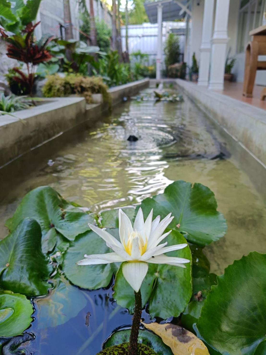 Hotel Baan Debtida Bangkok Zewnętrze zdjęcie