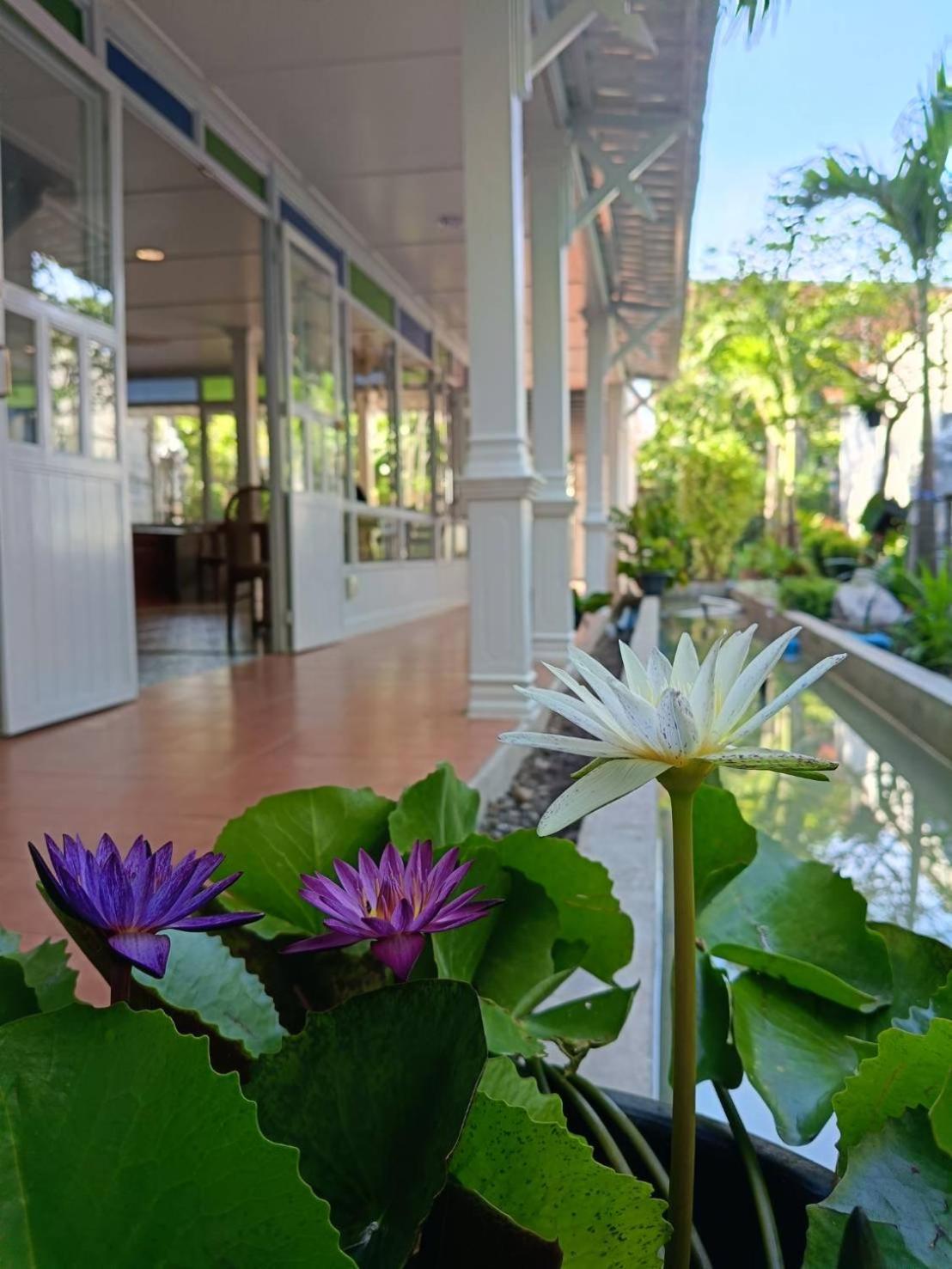 Hotel Baan Debtida Bangkok Zewnętrze zdjęcie