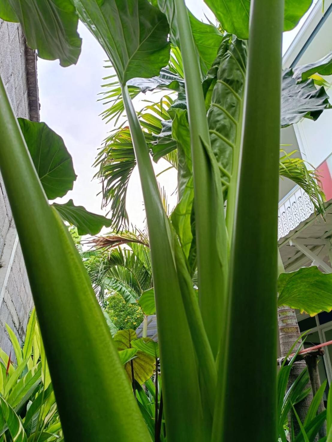 Hotel Baan Debtida Bangkok Zewnętrze zdjęcie