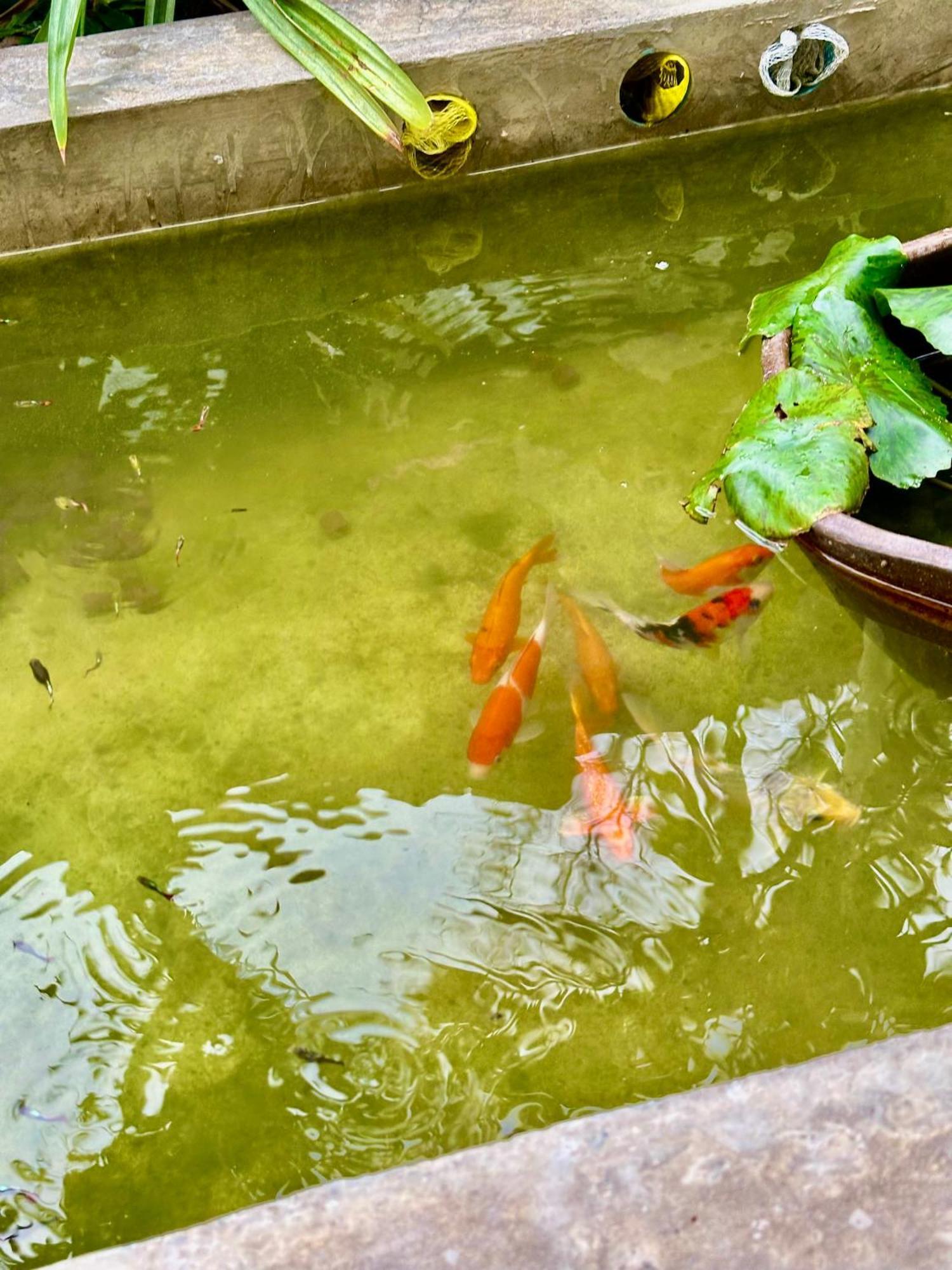 Hotel Baan Debtida Bangkok Zewnętrze zdjęcie
